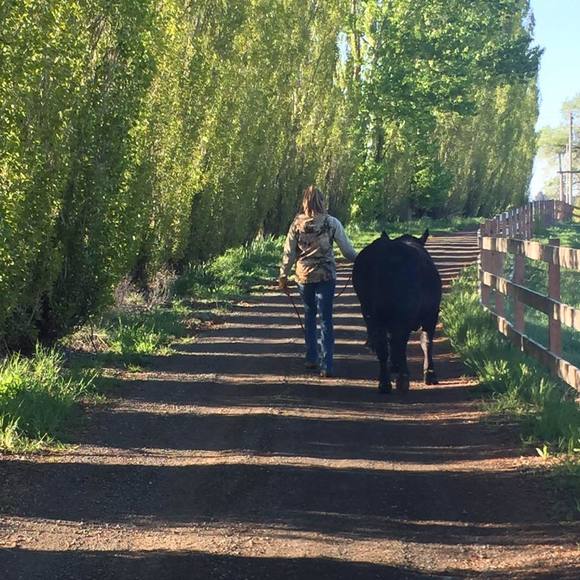 Meet your Posher, Shawna - Picture 1 of 1